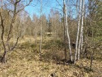 не призначена (с. Ульяновка, Житомирский район) - Продається сільськогосподарська ділянка, 3100 $ - АФНУ