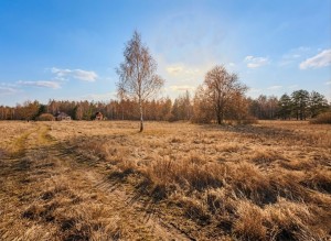 не призначена (с. Козинцы, Бородянский район) - Продається ділянка під забудову, 4500 $ - АФНУ