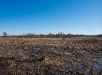 вул. Приозерна, 22 (с. Михайловка-Рубежовка, Киево-Святошинский район) - Продається ділянка під забудову, 11500 $ - АФНУ