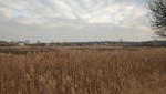 немає даних (с. Мощун, Киево-Святошинский район) - Продається сільськогосподарська ділянка, 10000 $ - АФНУ