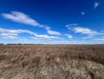 не призначена (с. Блиставица, Бородянский район) - Продається сільськогосподарська ділянка, 38000 $ - АФНУ