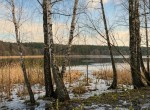 не призначена (с. Забырье, Киево-Святошинский район) - Продається сільськогосподарська ділянка, 220000 $ - АФНУ