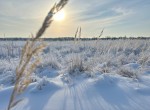 вул.Ворошилова, 21 (с. Микуличи, Бородянский район) - Продається ділянка під забудову, 25000 $ - АФНУ